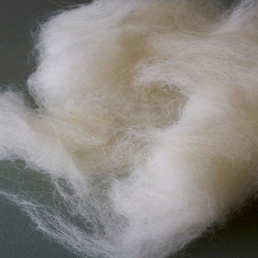 Bronte Lush Wool Filling - Double Scoured